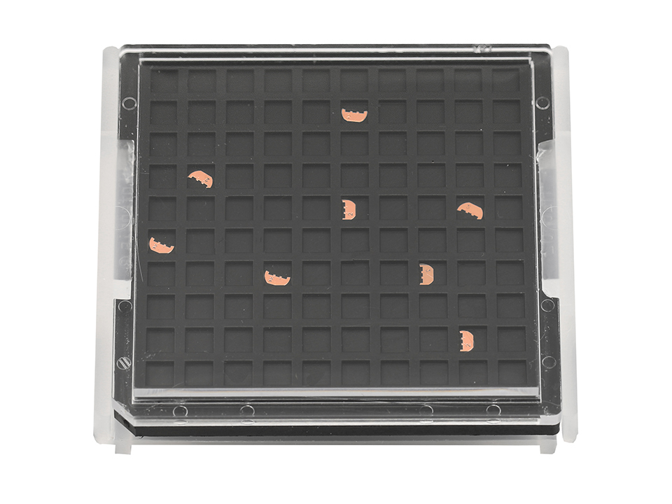 Grid boxes - Labtech
