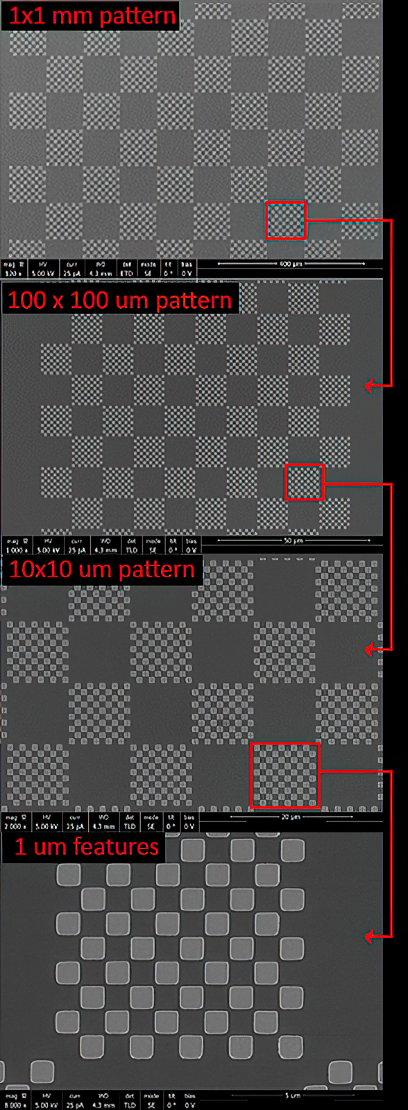 checkered-page 01